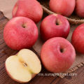 Red Star Apple For Export